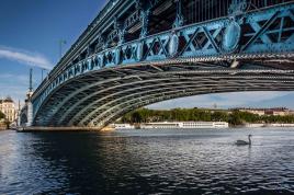 Le Cygne du Pont de l'université