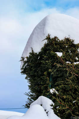 neige de printemps