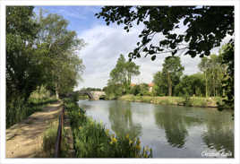 Le long du Canal du Midi