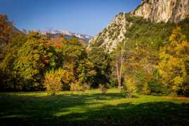 Forêt de Saint Pons