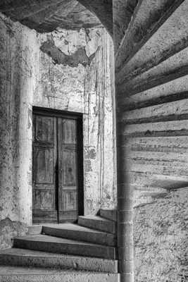 La chauve-souris .................