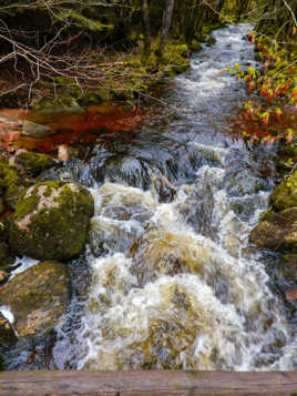 Ruisseau en cour