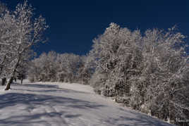 Pas de doute c'est l'hiver !