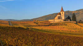 Route du vin en Alsace !