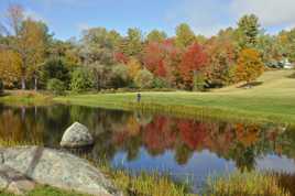 Paysage d'automne ensoleillé