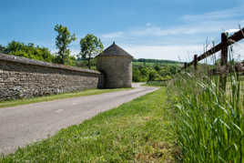 Sur la route de Salives