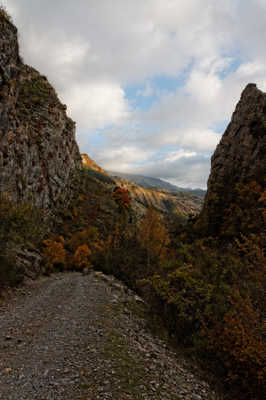 défilé d'automne