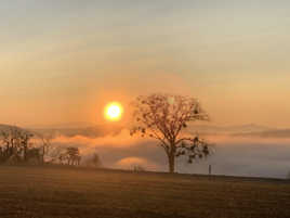 "Il a les boules ?!"