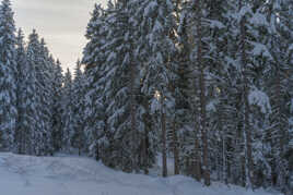 Attention à ne pas se perdre !