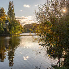 Lumière dorée du soir