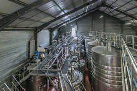 Cave coopérative (3)