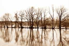 Reflets sur la Loire V2
