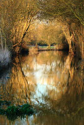 chemin sous les eaux