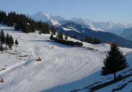 Le domaine déserté