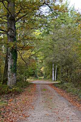 A la croisée des chemins