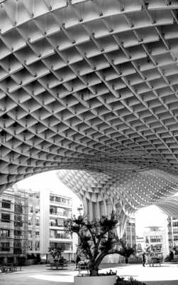 UN ARBRE DANS LA VILLE 1