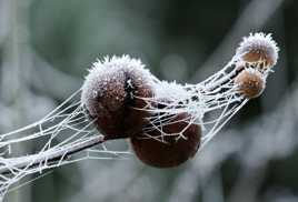 L'importance de l'orthographe ...