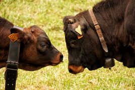 Tu me veux quoi toi ?