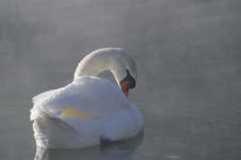 Réveil dans la brume