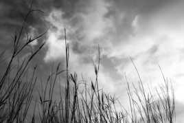 En regardant le ciel Vx