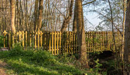 la pztit pont de bois (1)