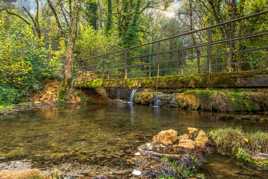 Petit pont dans la verdure