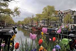 La Venise du Nord - Amsterdam