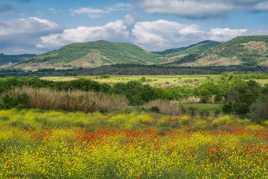 des couleurs de printemps