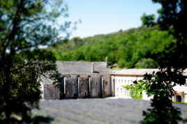 Abbaye de Sénanque