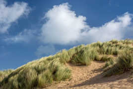 dune de biville