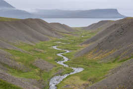 et au milieu coule une rivière