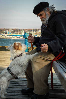 Le Vieil Homme et son Chien