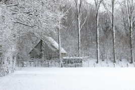 Cabane enneigée