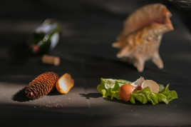 Pomme de pin...Pomme de pain