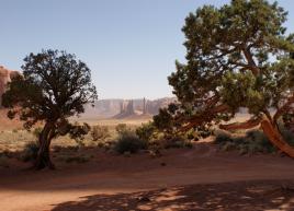 Promenade à  Monument valley