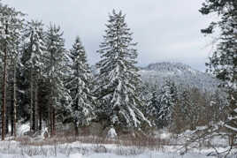 Le Lizieux 1388 mètres