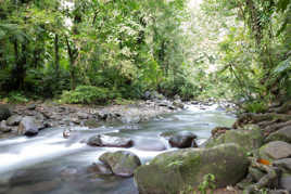 Rivière Guadeloupe