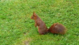 j'suis dans mon jardin