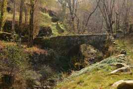 Petit pont de pierre