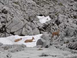 Plaisir des névés salutaires