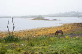 Ballyconneely