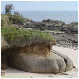 La patte du lion...