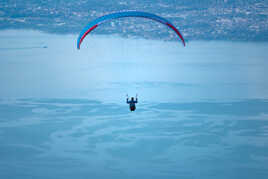 Fais comme l'oiseau ...