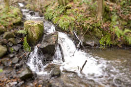 Le ruisseau de Maupas