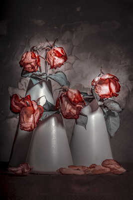 Même flétrie la rose garde son charme