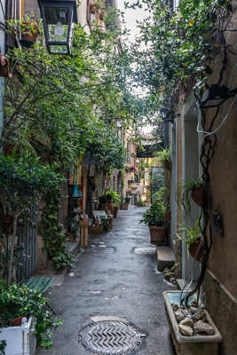 Le vieux Mougins (8)