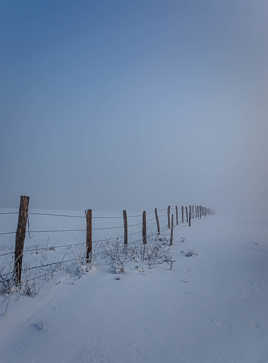 Ligne dans la brume