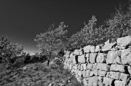 plateau du St Laurent