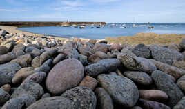 Omonvile la Rogue 2)