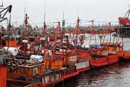 Bateaux de pêches